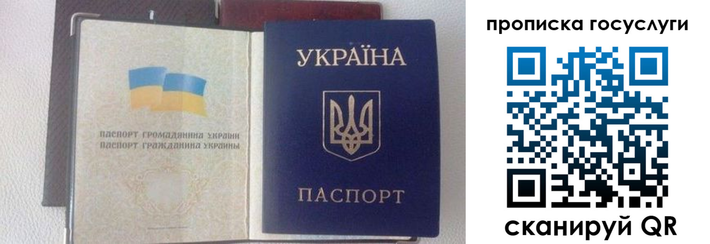 временная регистрация недорого в Новом Осколе